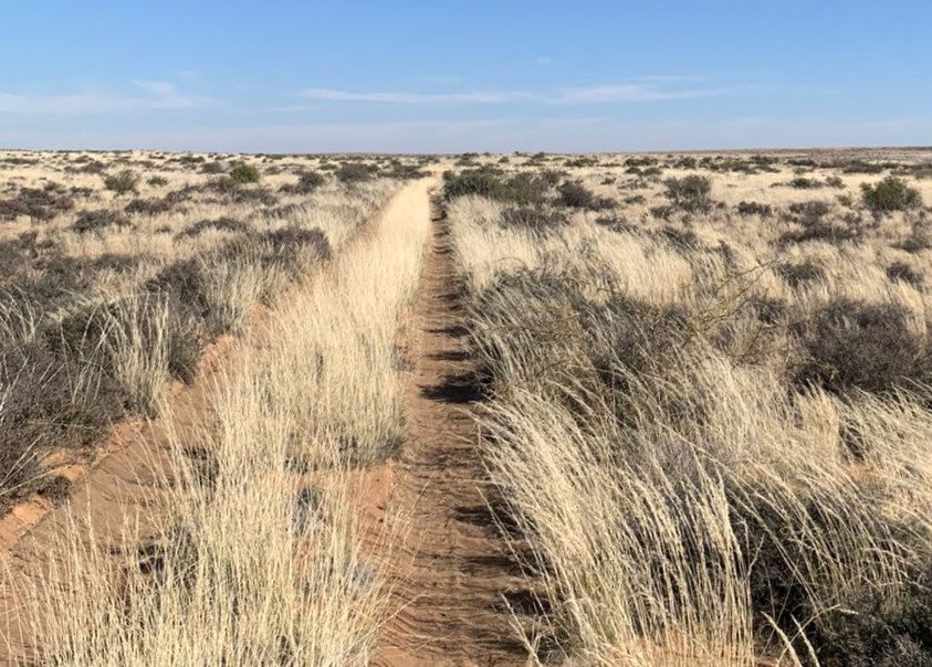 0 Bedroom Property for Sale in Williston Rural Northern Cape